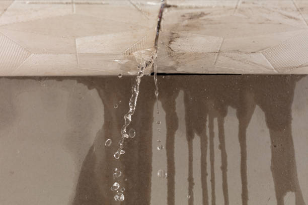 Professional Structural Drying technician working in Erwin, NC